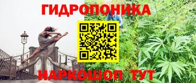 стафф Ликино-Дулёво