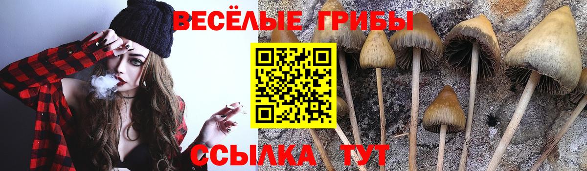 Галлюциногенные грибы прущие грибы Йошкар-Ола